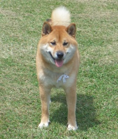 f0144493_1047120.jpg