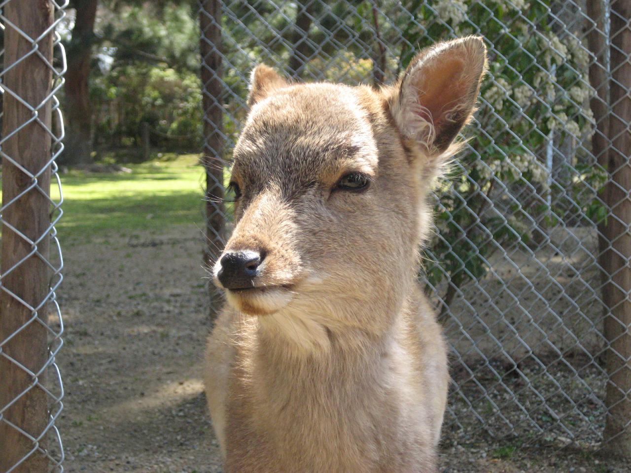 f0013998_558146.jpg