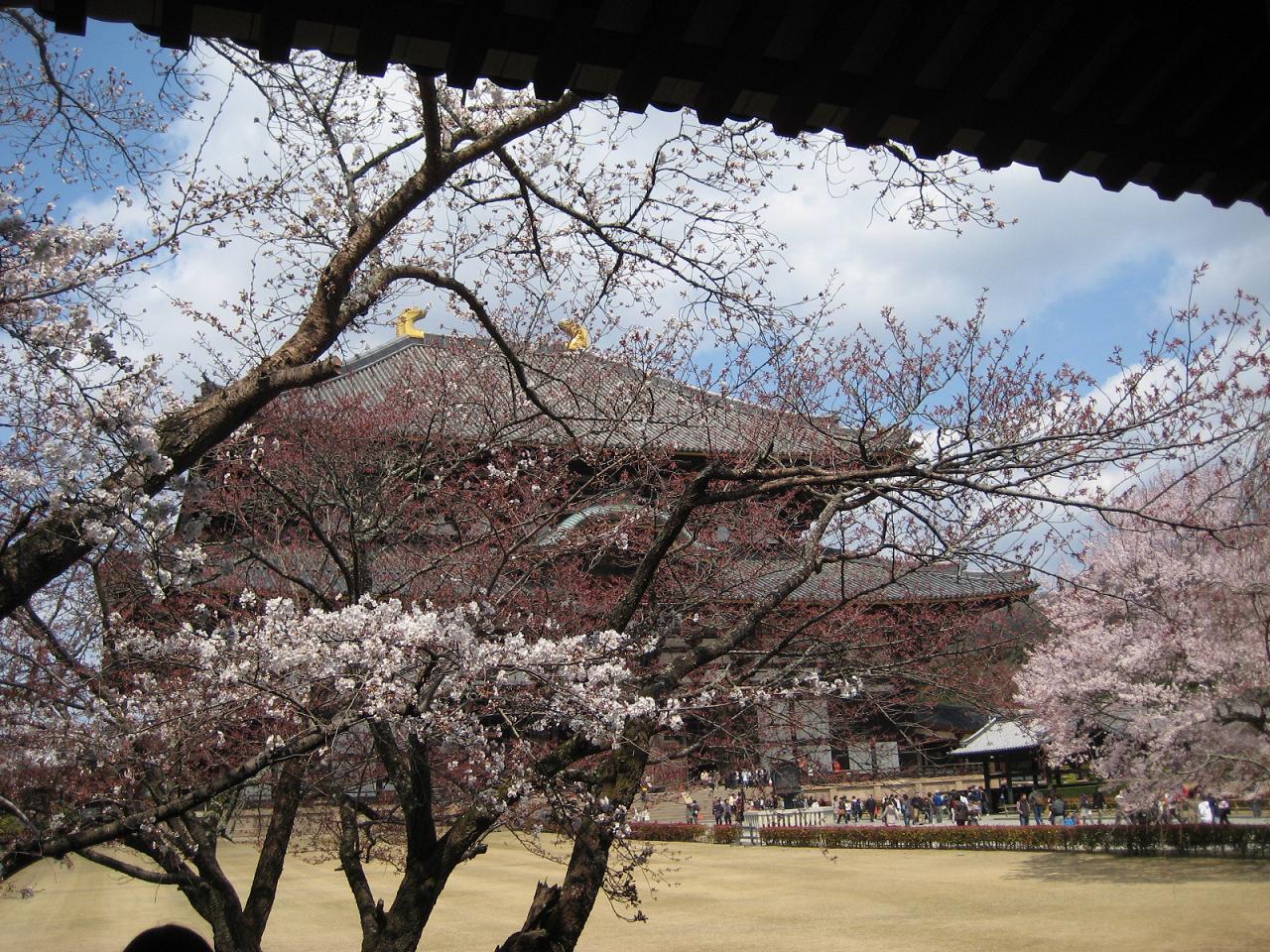 f0013998_5591729.jpg