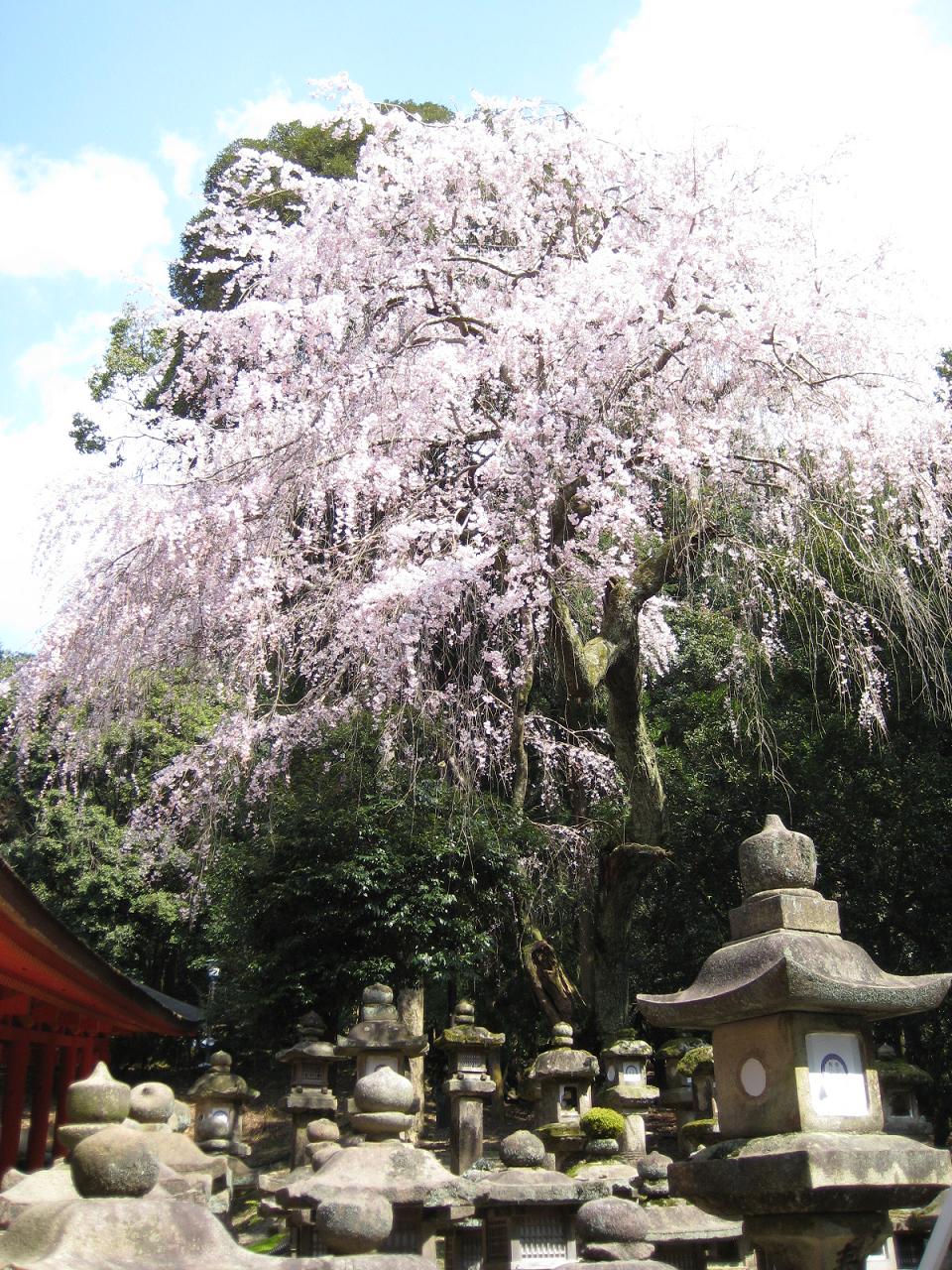 f0013998_67466.jpg