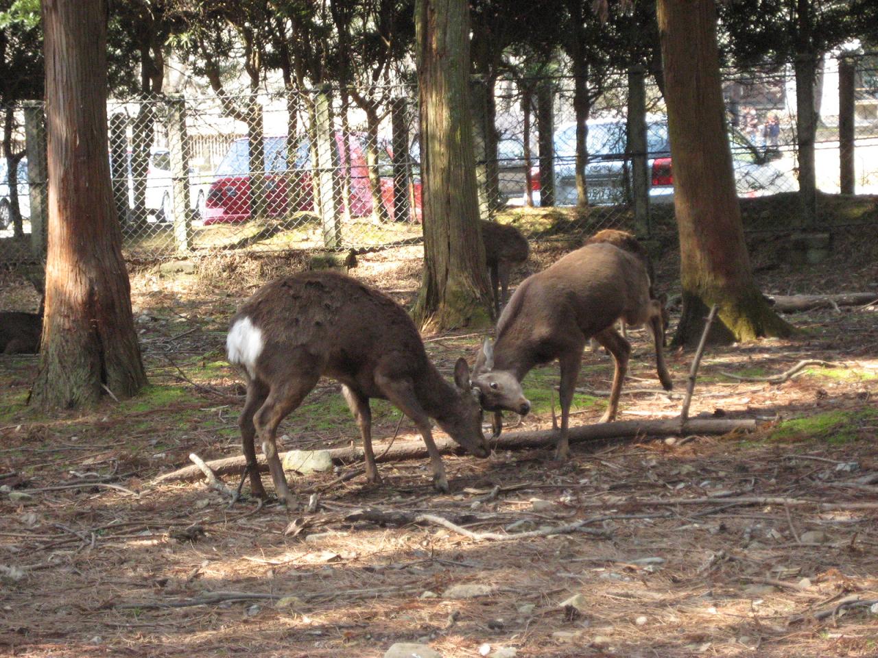 f0013998_682426.jpg