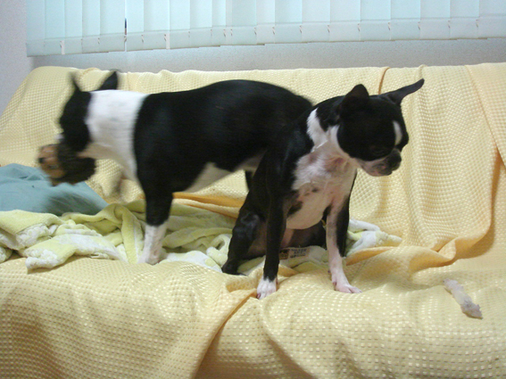 c0094999_3401371.jpg