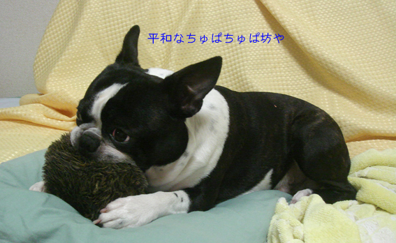 c0094999_3413053.jpg