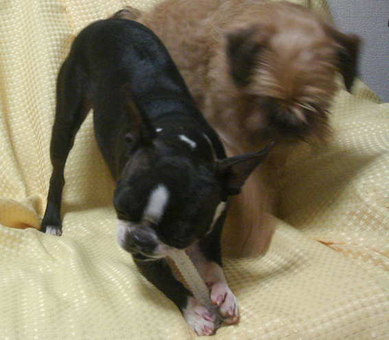 c0094999_3471527.jpg
