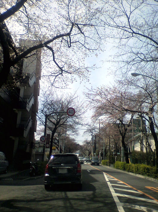 f0108399_0553625.jpg