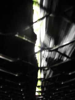 f0180200_17535737.jpg