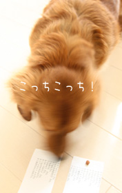 e0075302_1742437.jpg