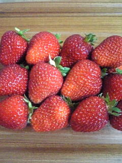 e0175702_20222955.jpg