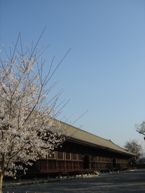 f0179202_23581610.jpg