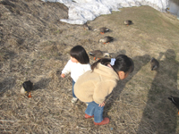 d0076603_652459.jpg