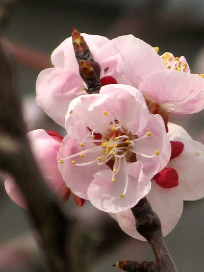 c0011204_17382417.jpg