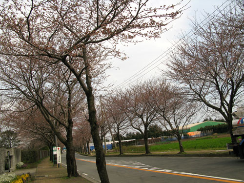 c0011204_17424617.jpg