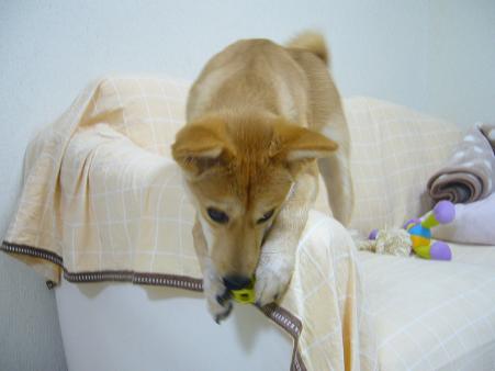c0182706_1634860.jpg