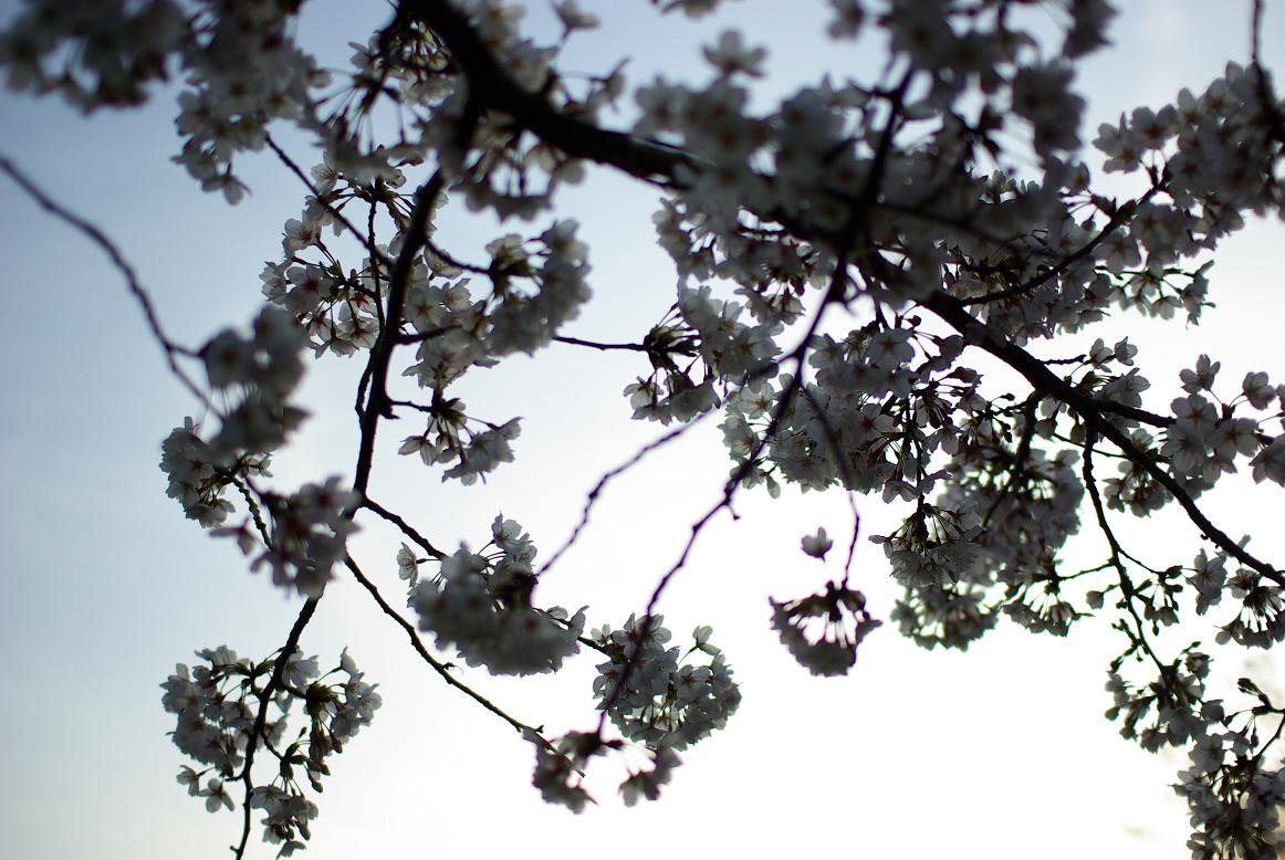 f0201607_2324880.jpg