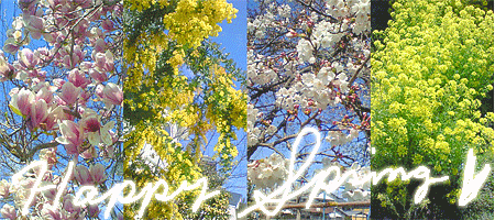 c0106009_0125744.gif