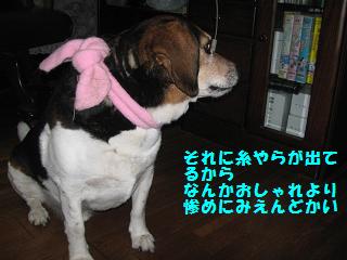 d0104209_21113530.jpg