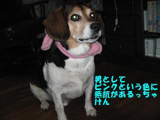 d0104209_21114279.jpg