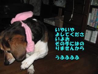 d0104209_21205935.jpg