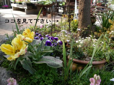 c0190010_2053548.jpg