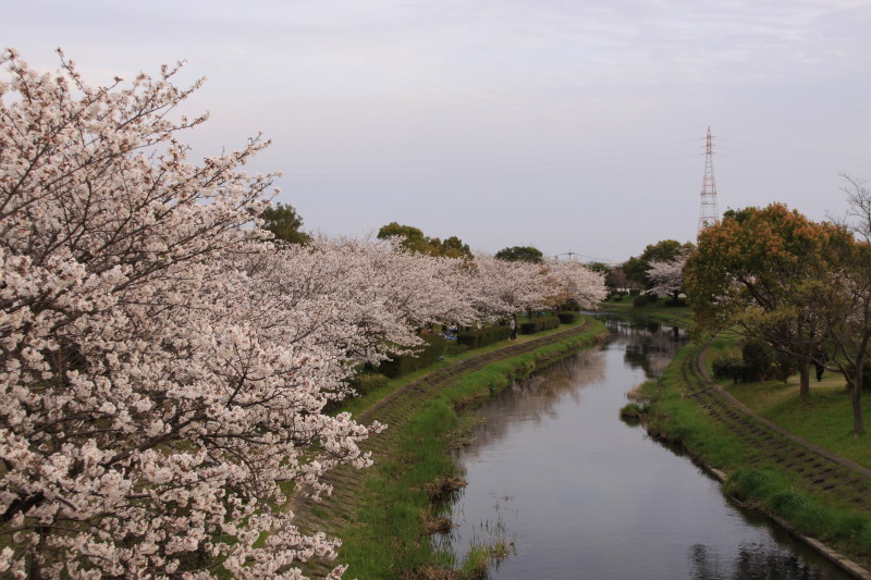 c0017311_1165776.jpg