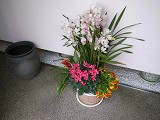 e0145711_11584518.jpg