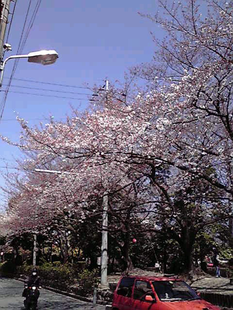 a0067613_033936.jpg