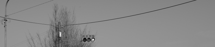 c0048218_13134870.jpg