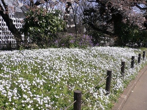 f0117618_2145483.jpg