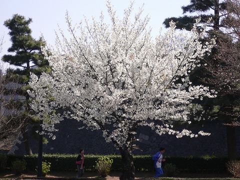 f0117618_21474022.jpg