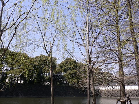 f0117618_21493718.jpg