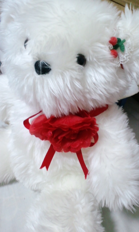 b0149320_0312790.jpg