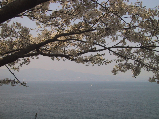 c0097620_1753139.jpg
