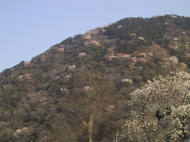 c0097620_17533415.jpg