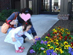 c0151122_1141077.gif