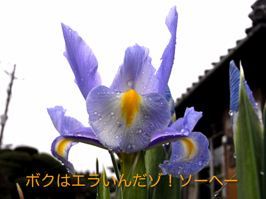 c0147123_21583082.jpg