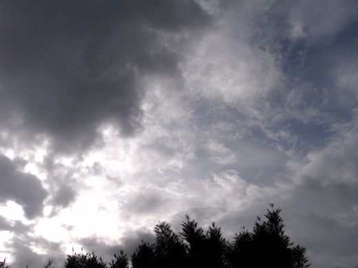 c0147123_21584538.jpg