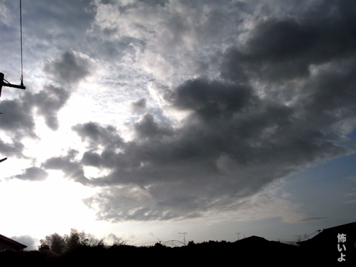 c0147123_21591955.jpg