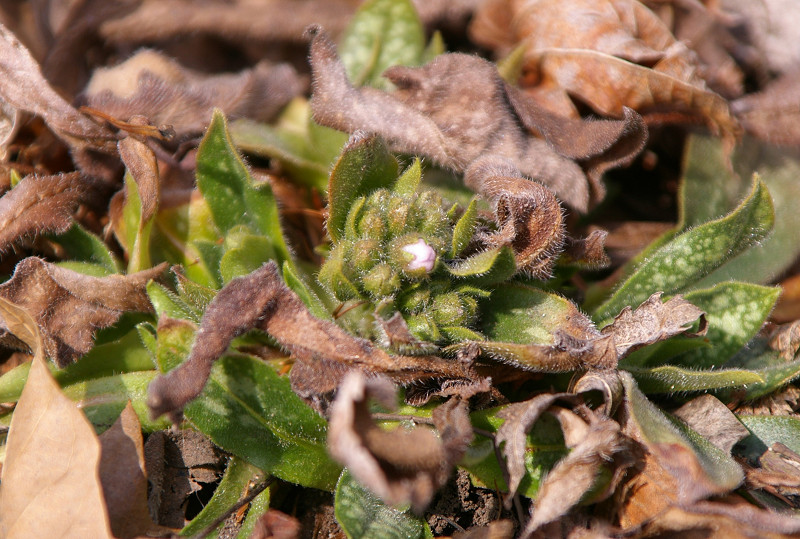 e0136424_20124448.jpg