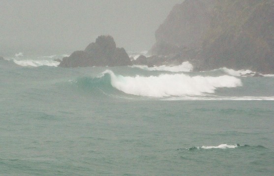 c0160825_1923064.jpg