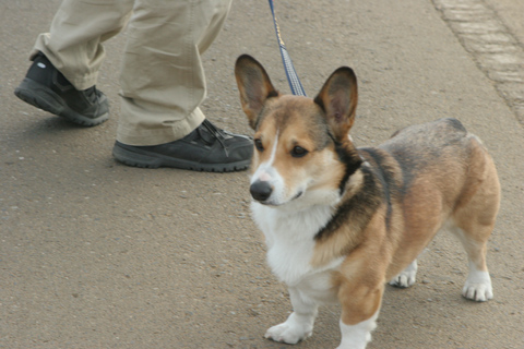 e0071225_033419.jpg