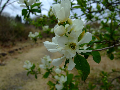 f0147025_2082790.jpg