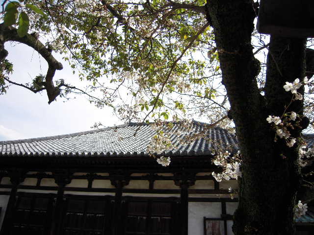 b0025633_21504321.jpg