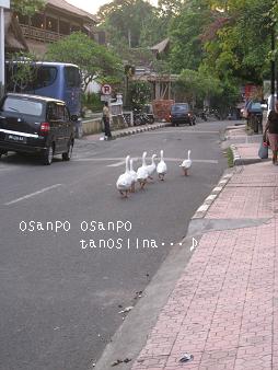 c0148238_112494.jpg