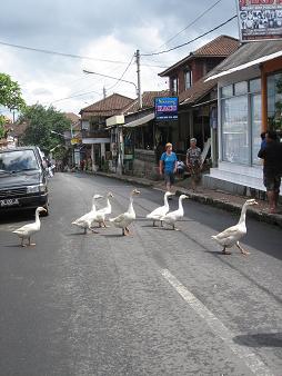 c0148238_1625156.jpg