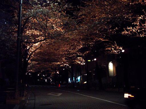 f0053847_21131343.jpg