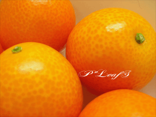 c0176651_19122735.gif
