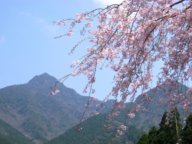 c0179351_21154542.jpg