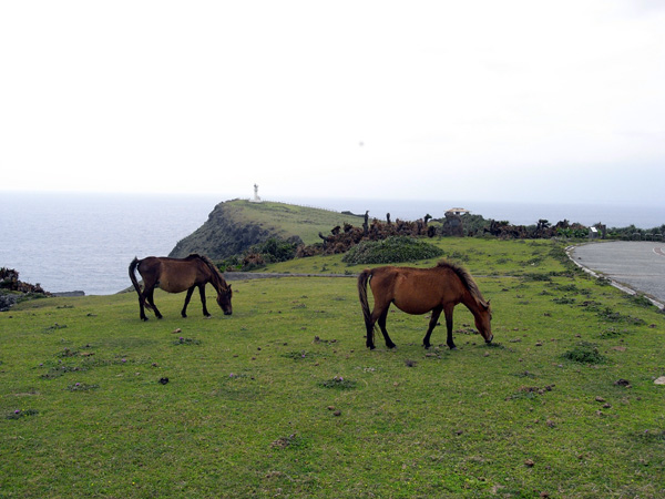 b0049152_182073.jpg