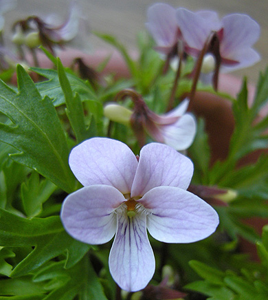 a0001354_22131159.jpg