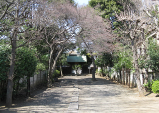 e0098256_836405.jpg